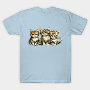 Three Sweet Tabby Kittens T-Shirt